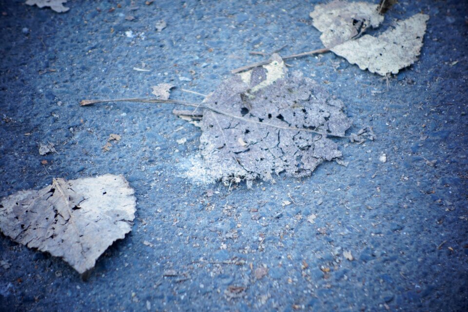 Nature october of course