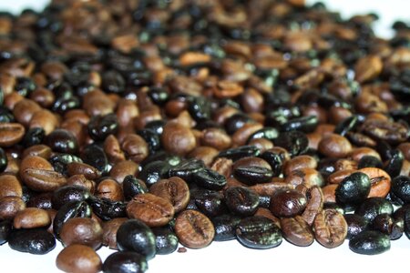Coffee beans brown food photo