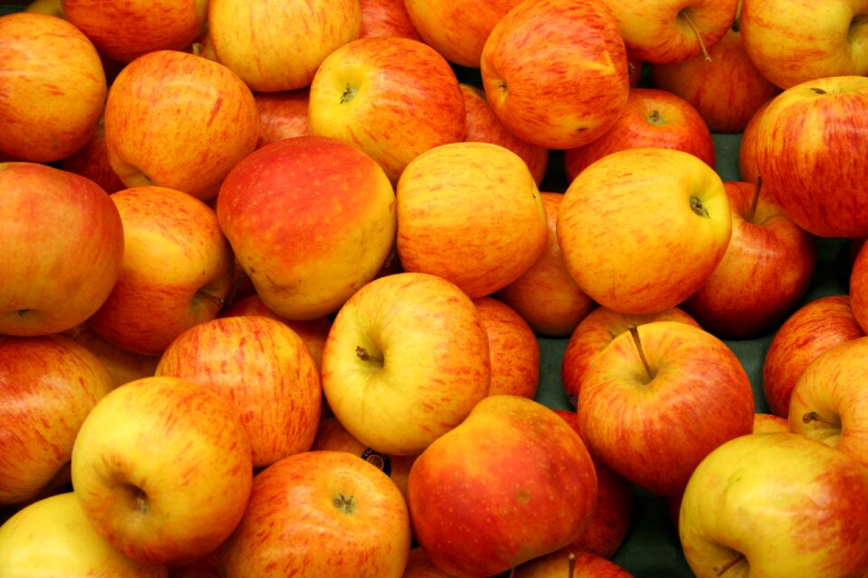 Apple tree red vitamins