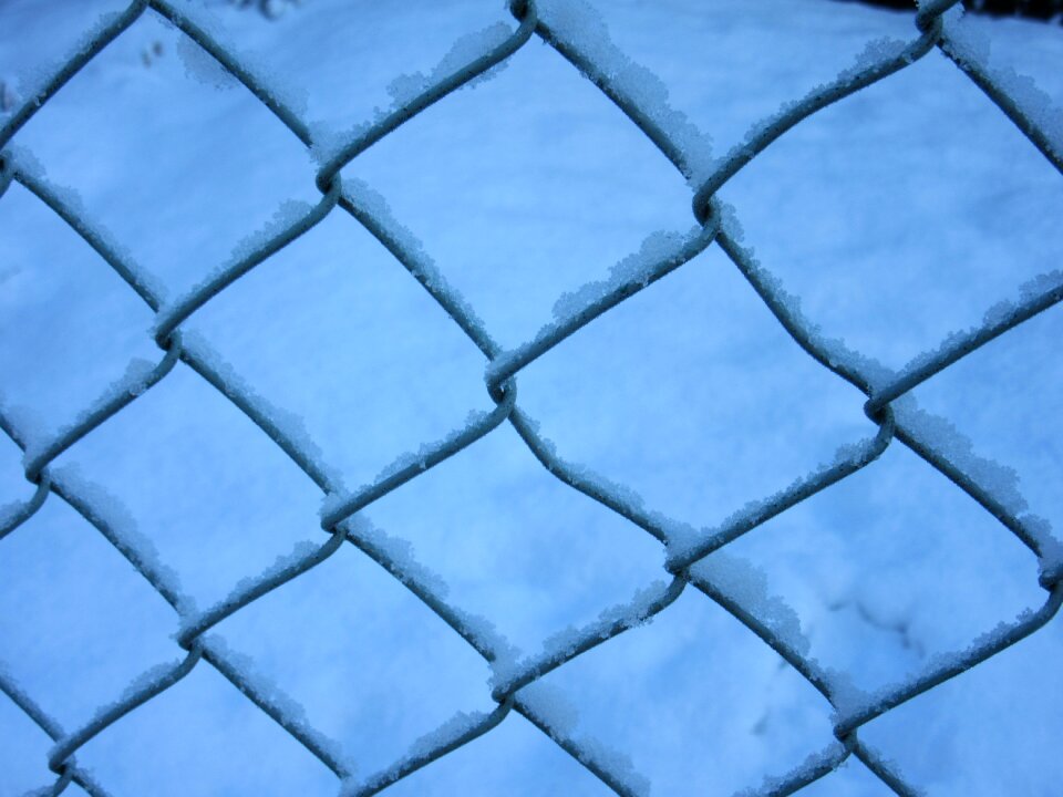 New zealand winter squares