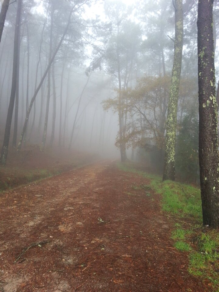 Mystery mountain road nature