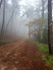 Mystery mountain road nature photo