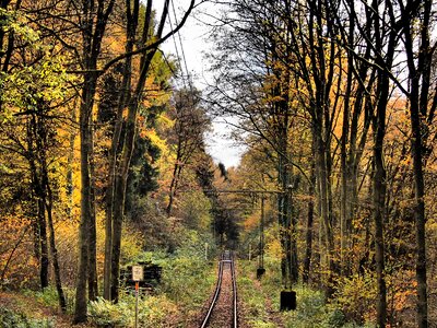 Rails forest autumn