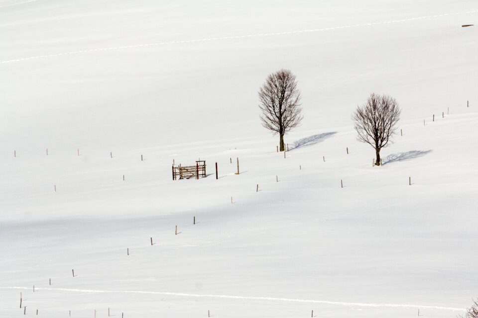 Landscape nature cold photo