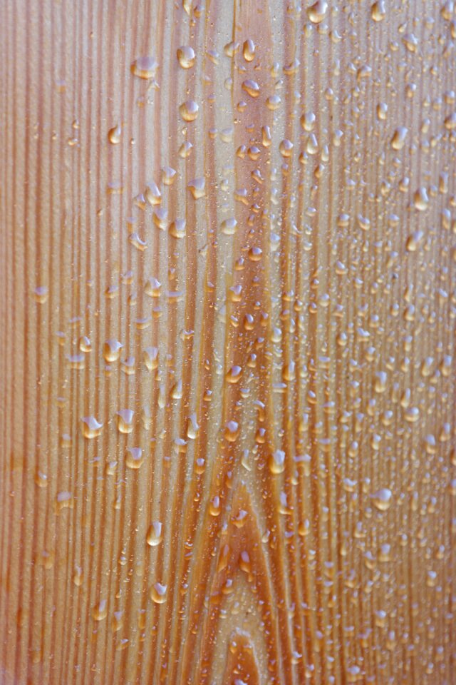 Drop of water nature weather