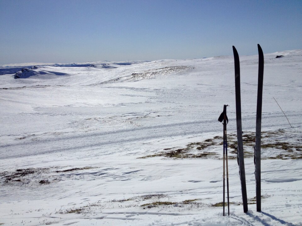 Ski white landscape