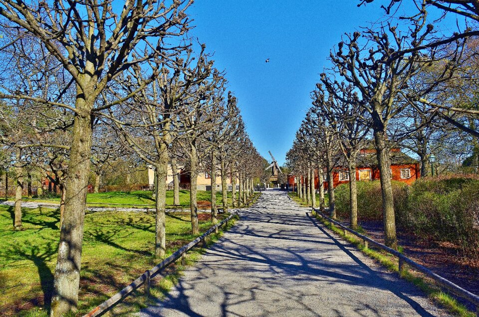 Sky blue park