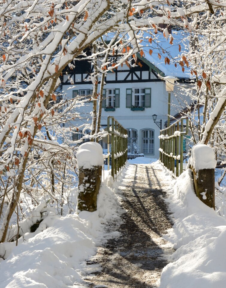 Bridge winter mood nature