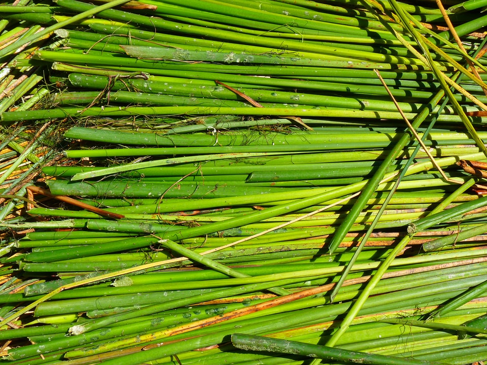 Green lake titicaca peru