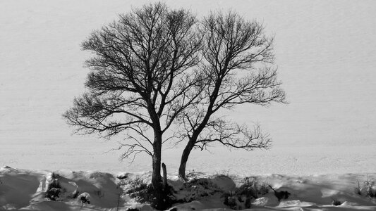 Snow winter landscape contrast