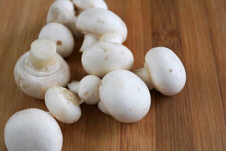 Mushroom mushrooms white mushroom