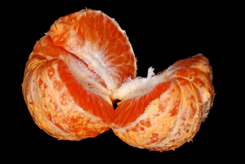 Food healthy juicy