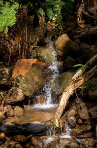 Waterfall natural rainforest photo