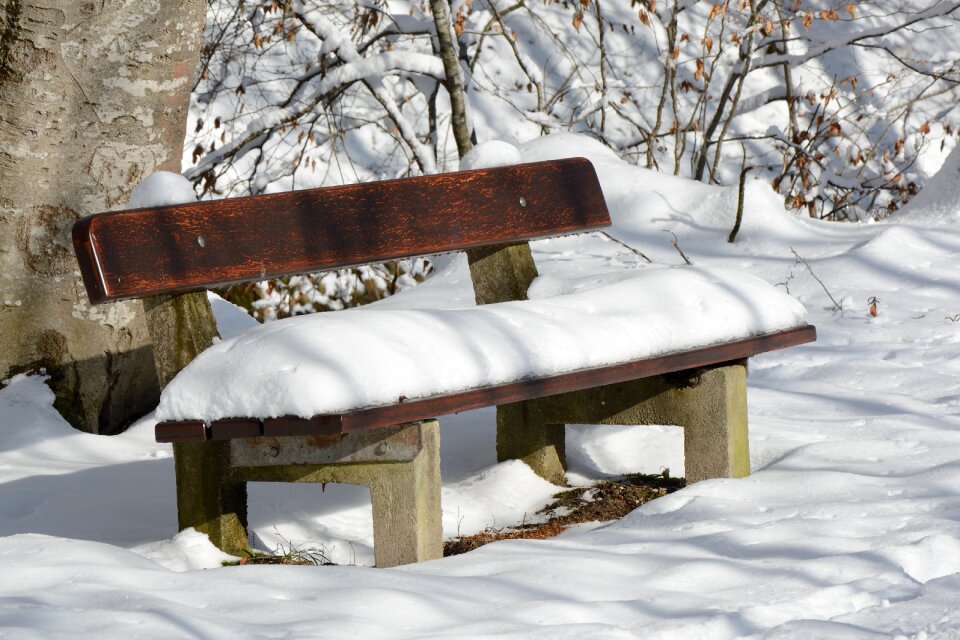 Bank snowy snowed in