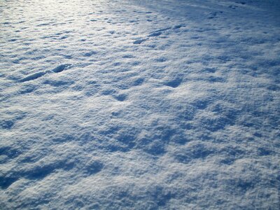 White backlighting sunshine