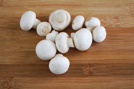 Mushroom mushrooms white mushroom