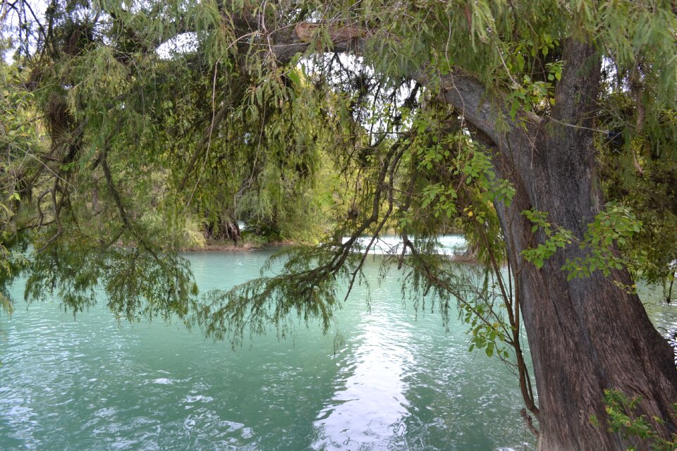 Water nature mexico