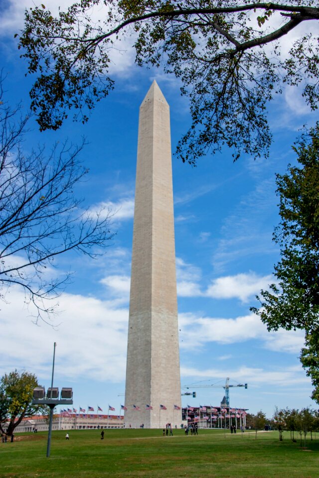 Dc capital government