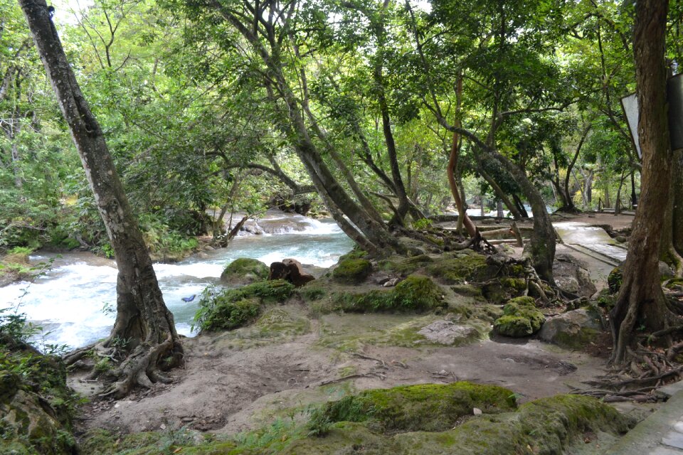 Water nature mexico