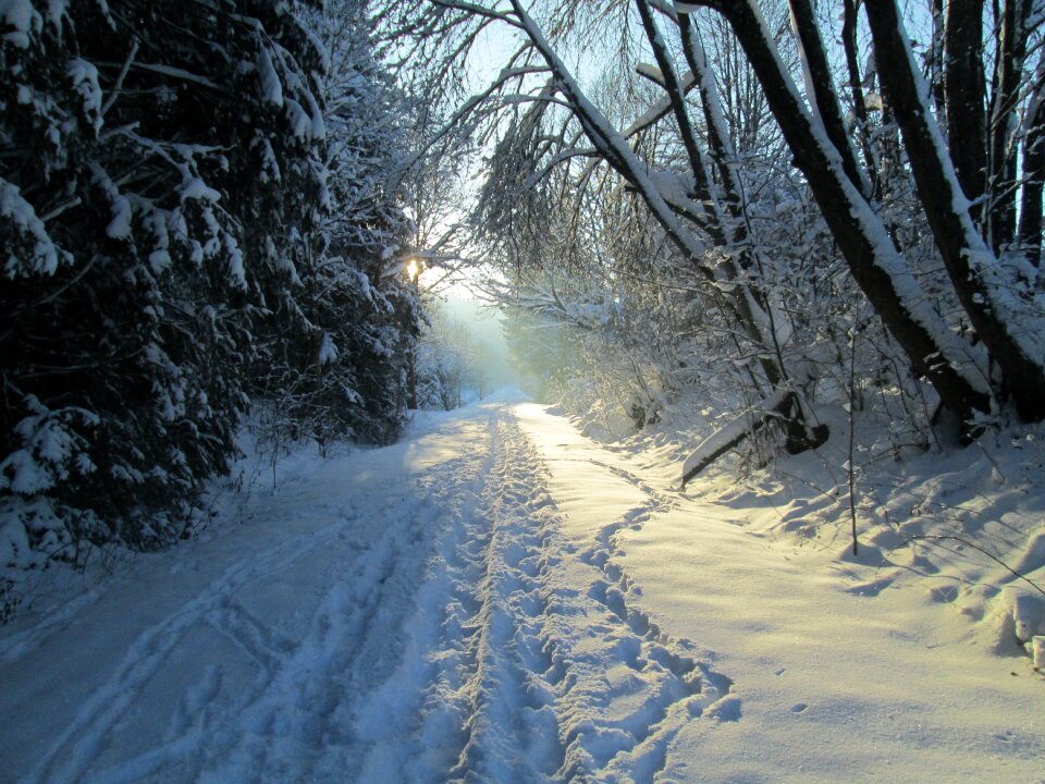January winter way allgäu winter