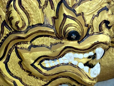 Dragon asia gold