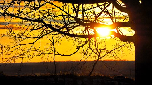 Light nature orange