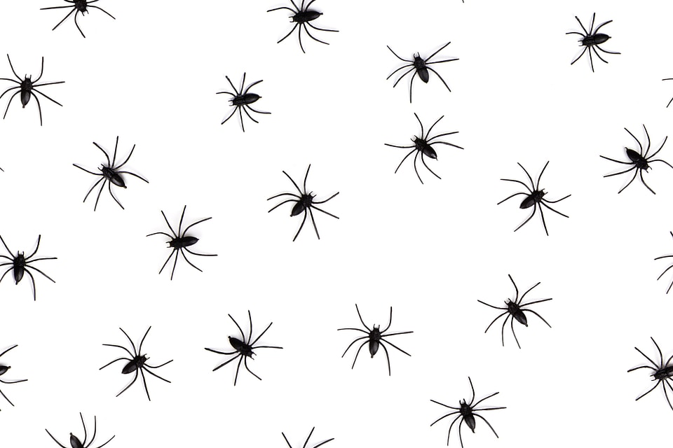 Background danger fear