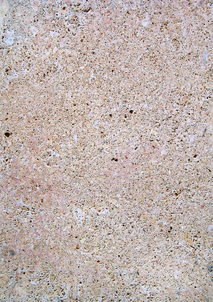 Pattern floral texture