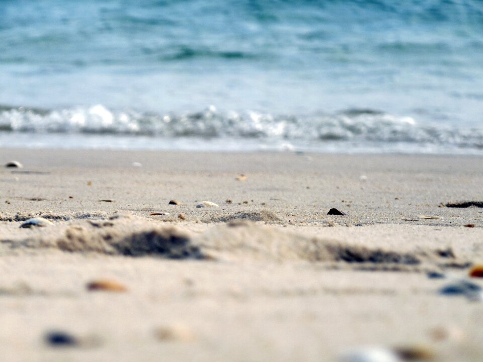 Shore holiday sun