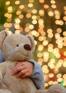 Teddy bear bokeh photo