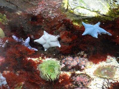 Sea water vacations