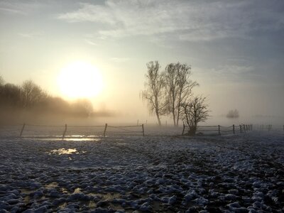 Landscape morgenstimmung fog photo