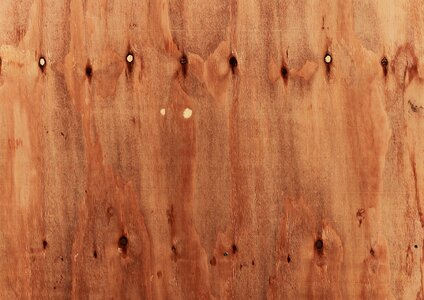 Texture structure grain
