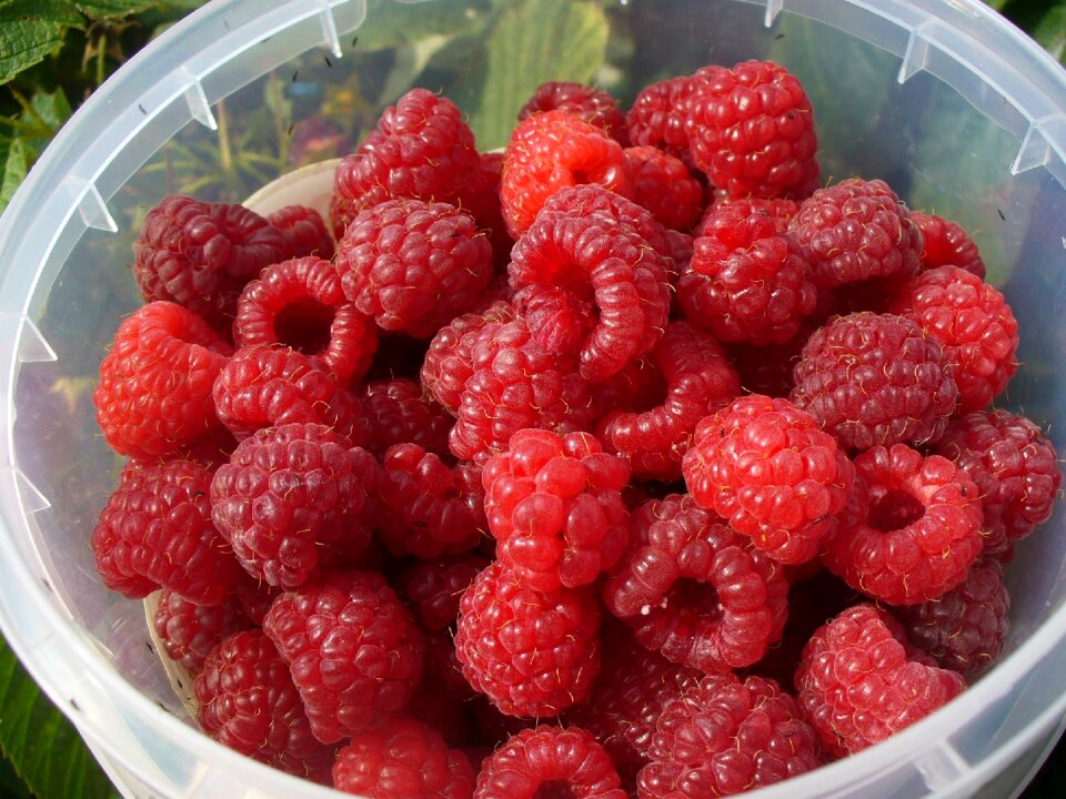 Berry juicy