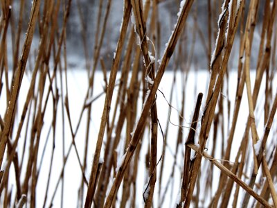 Winter snow background image