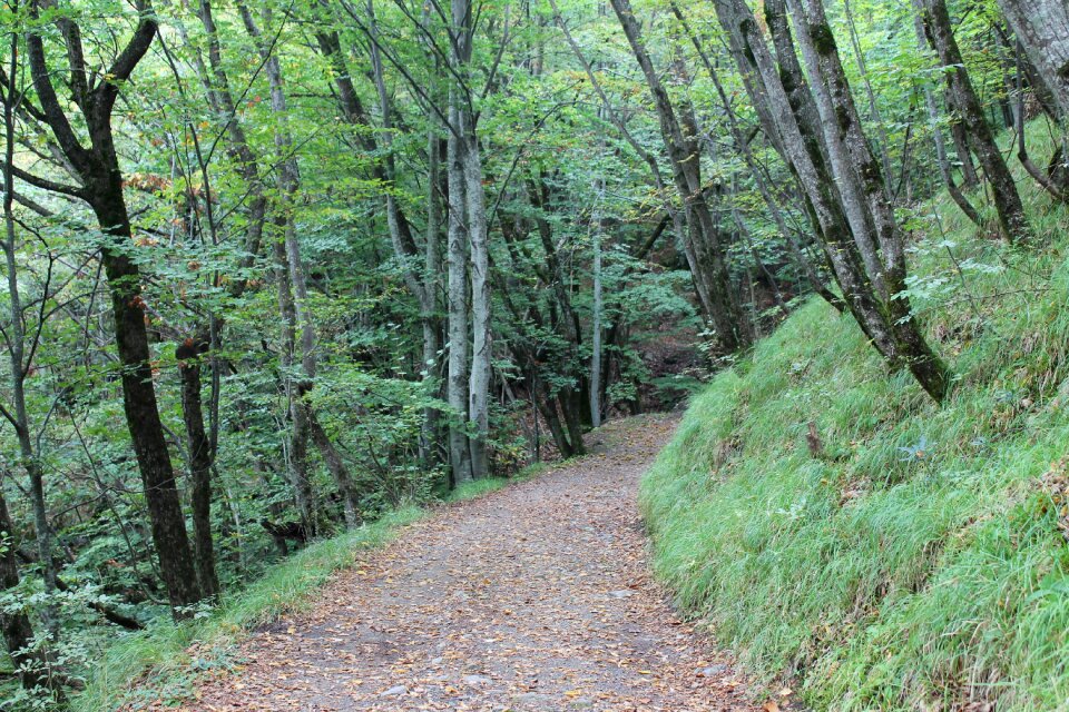 Walk appennino mountain