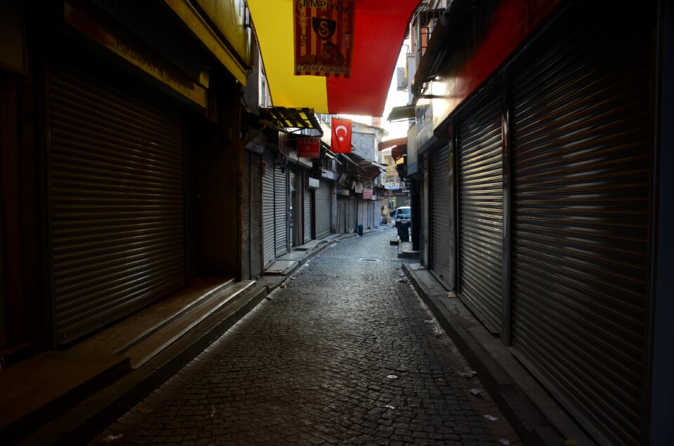 City turkey