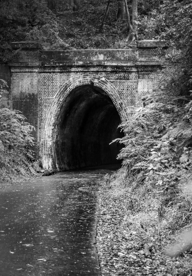 Opening track