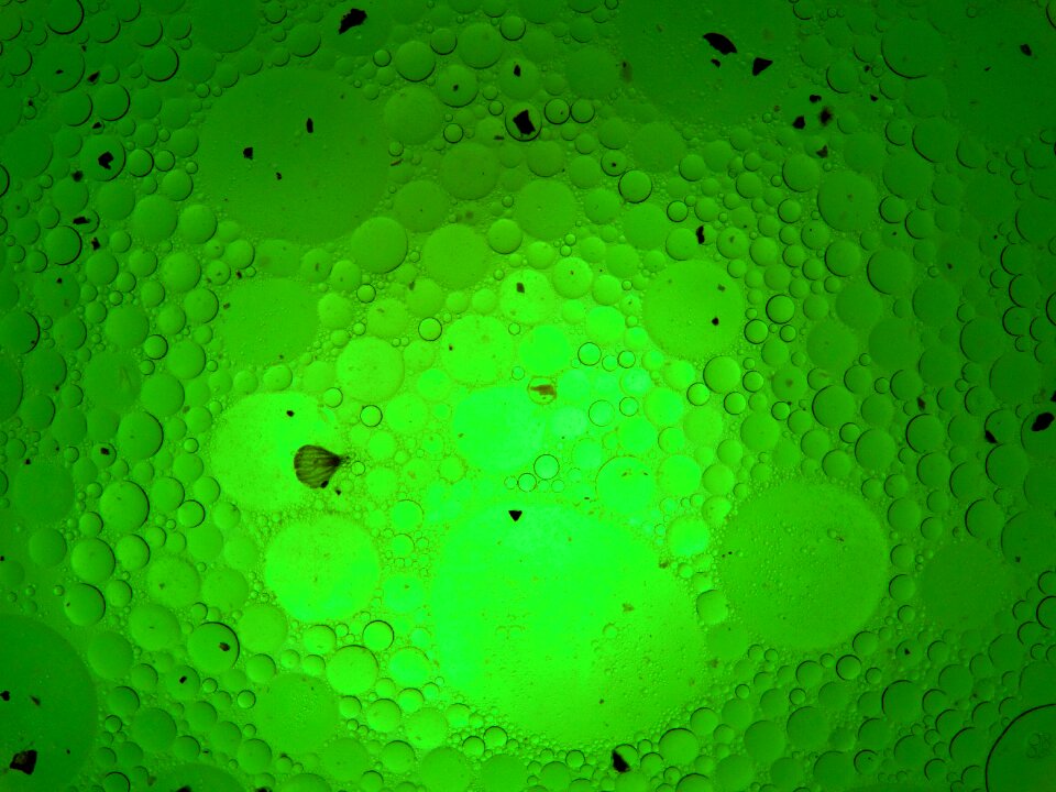 Oil eyes fat eyes light green