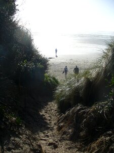 Sand nature coast photo