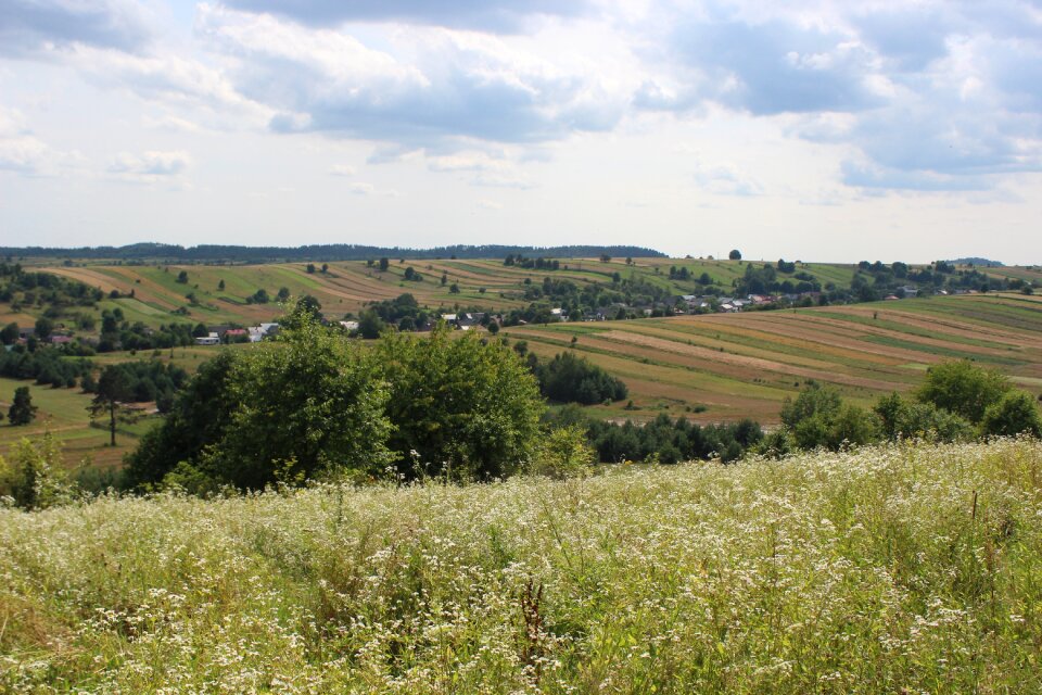 Nature horizon summer