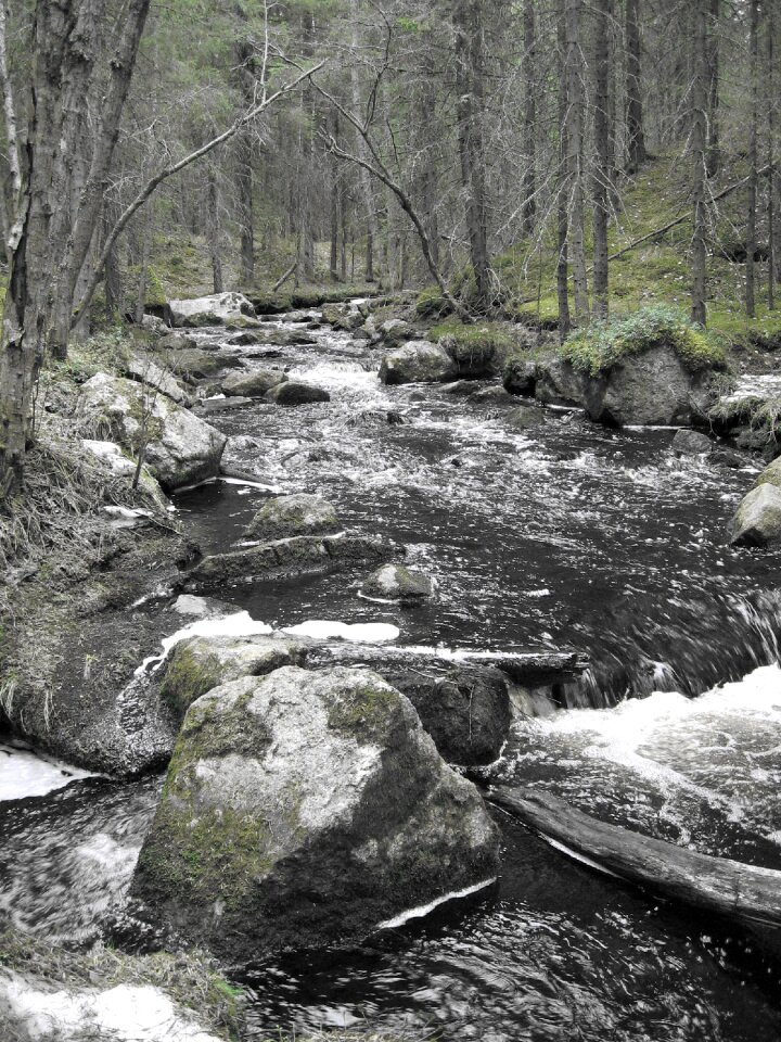 The creek landscape flow