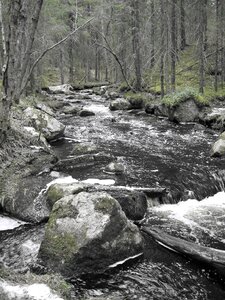 The creek landscape flow