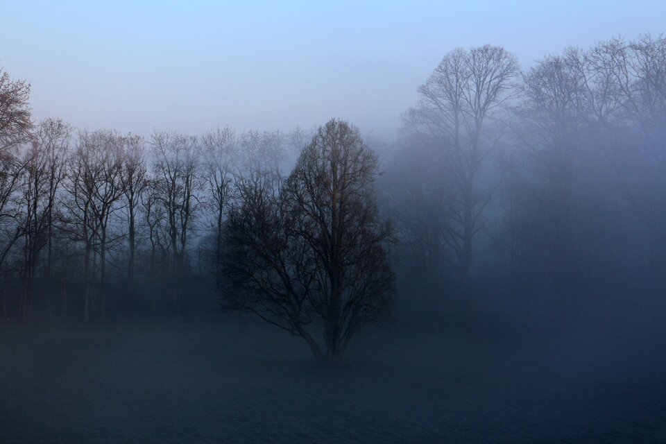 Landscape morning outdoor