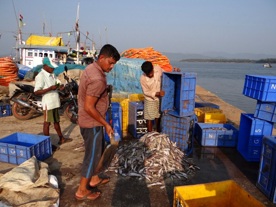 River estuary aghanashini