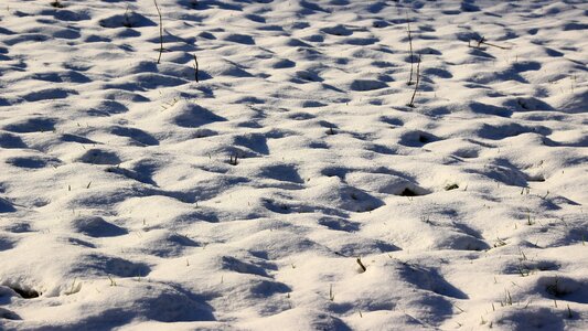 Shadow winter wintry photo