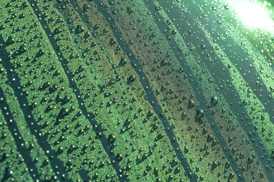 Thaw drop of water liquid