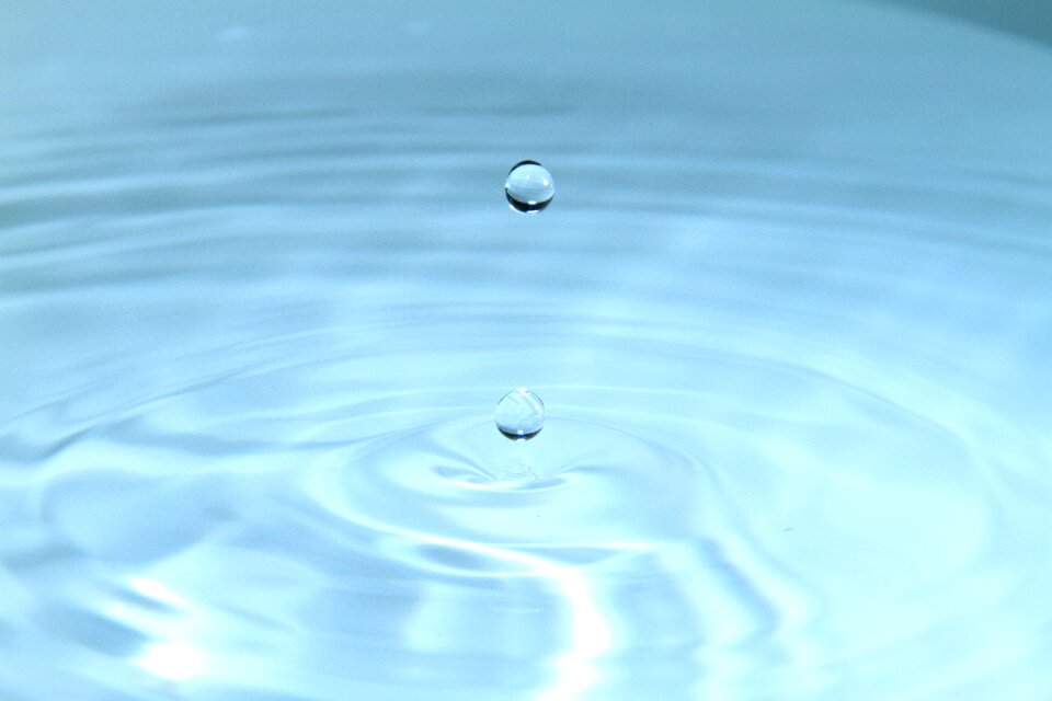 Macro water nature