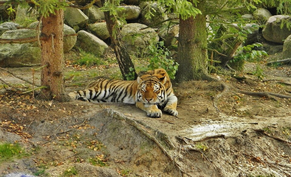 Concerns zoo eberswalde