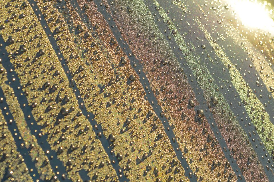 Thaw drop of water liquid